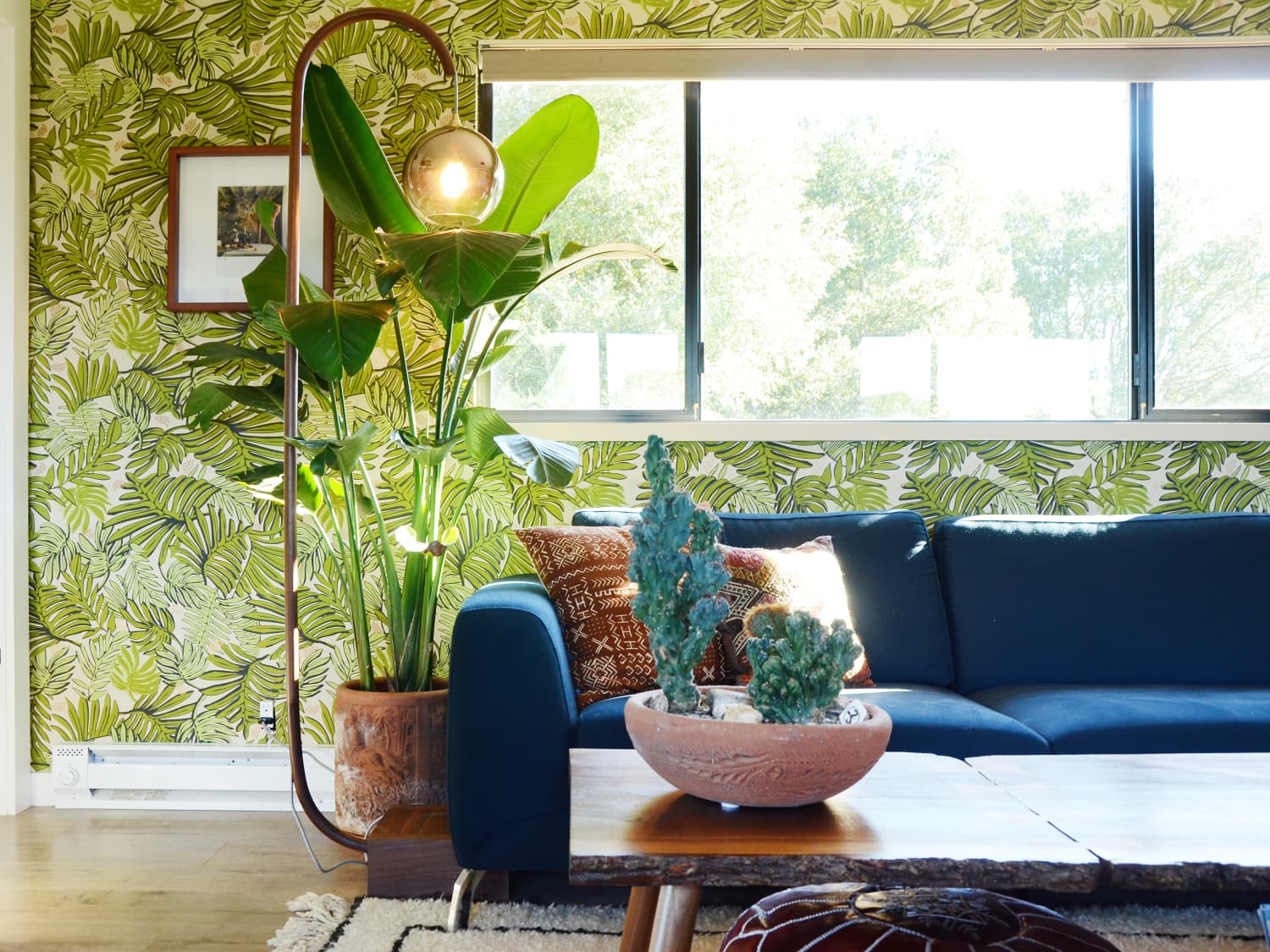 The Best Tropical House Plants Apartment Therapy